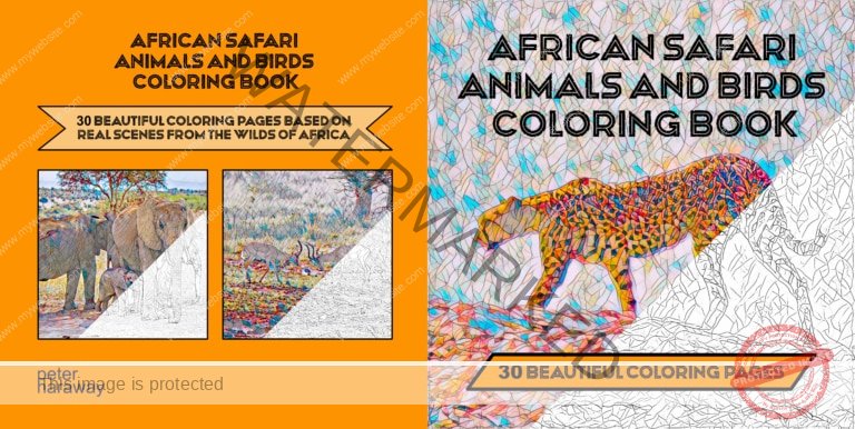 African Safari Animals and Birds Coloring Book