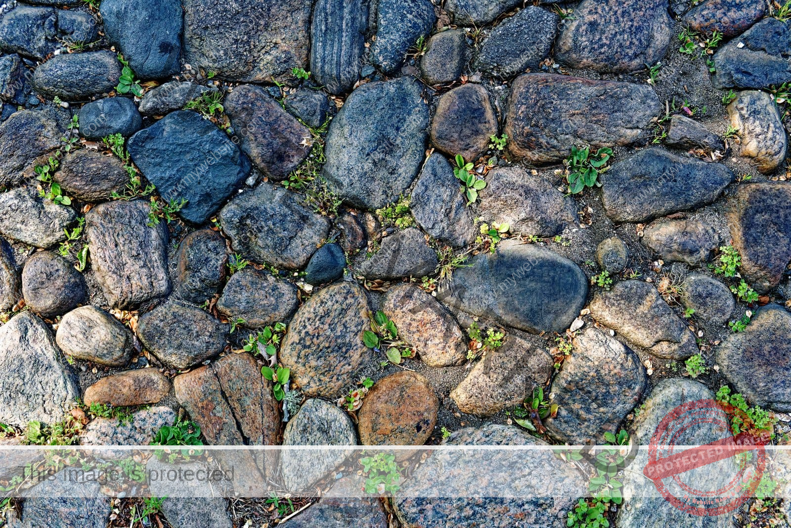 Nantucket cobblestones that have travelled to pretty much every corner of the world as whaling ship ballast