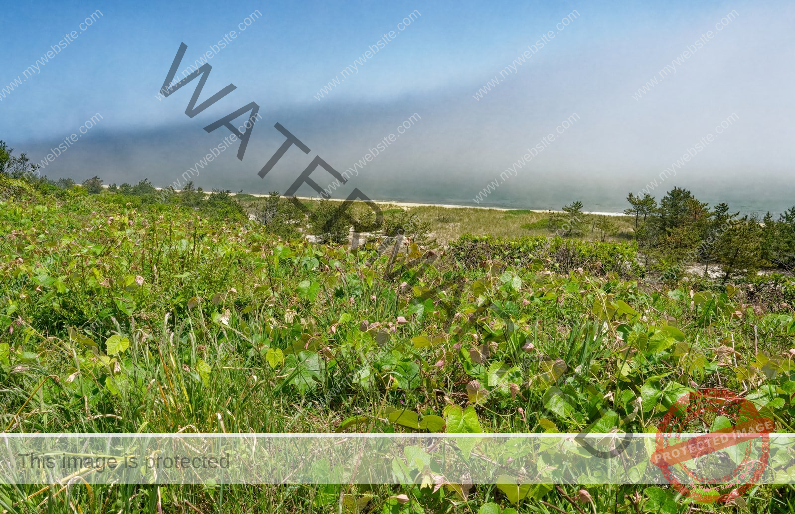 A mist blows onto the beach on Nantucket Island, the Gray Lady